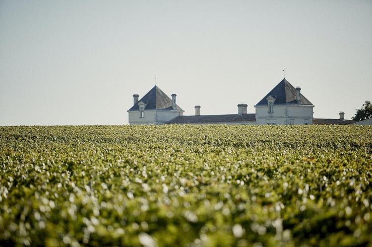  Château de Pez 2025