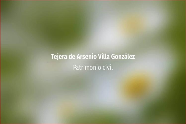 Tejera de Arsenio Villa González