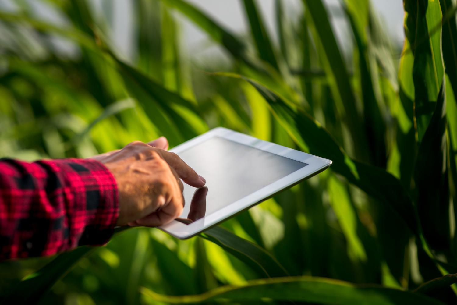 El Gobierno de España aprueba un proyecto de dos millones de euros presentado por el Ayuntamiento de Lebrija para la modernización tecnológica de la agricultura