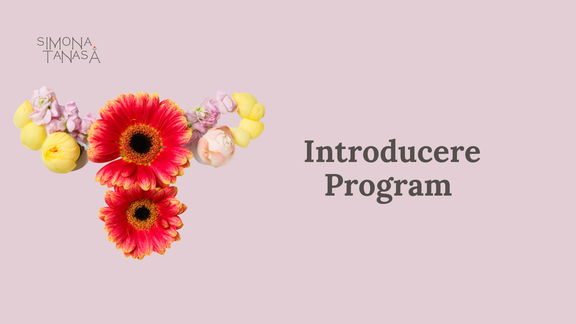 Introducere program