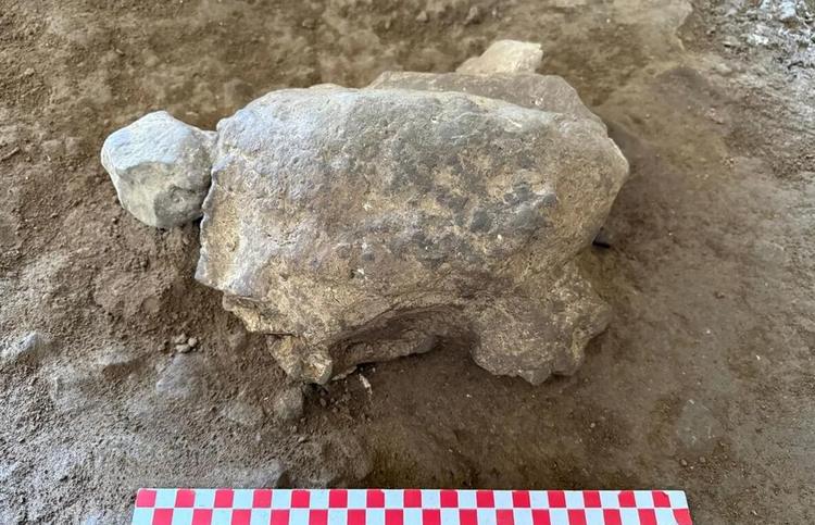 Ancient turtle figurines reveal possible ritual site in Türkiye