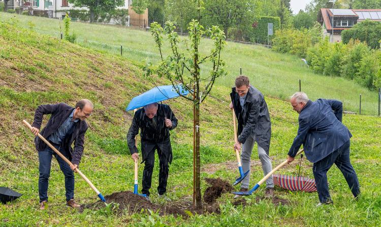 Inauguration EMS et Foyer de Jour l'Arbre du Temps