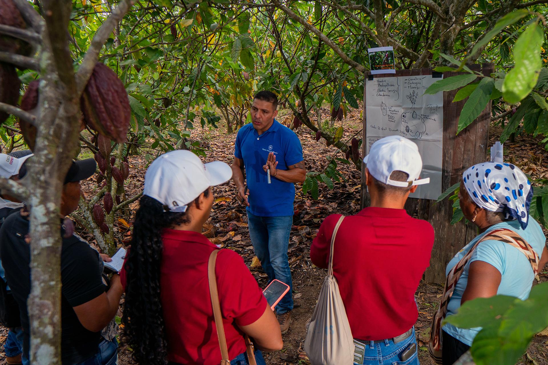 La conectividad ayuda a los productores de cacao colombianos a cosechar beneficios