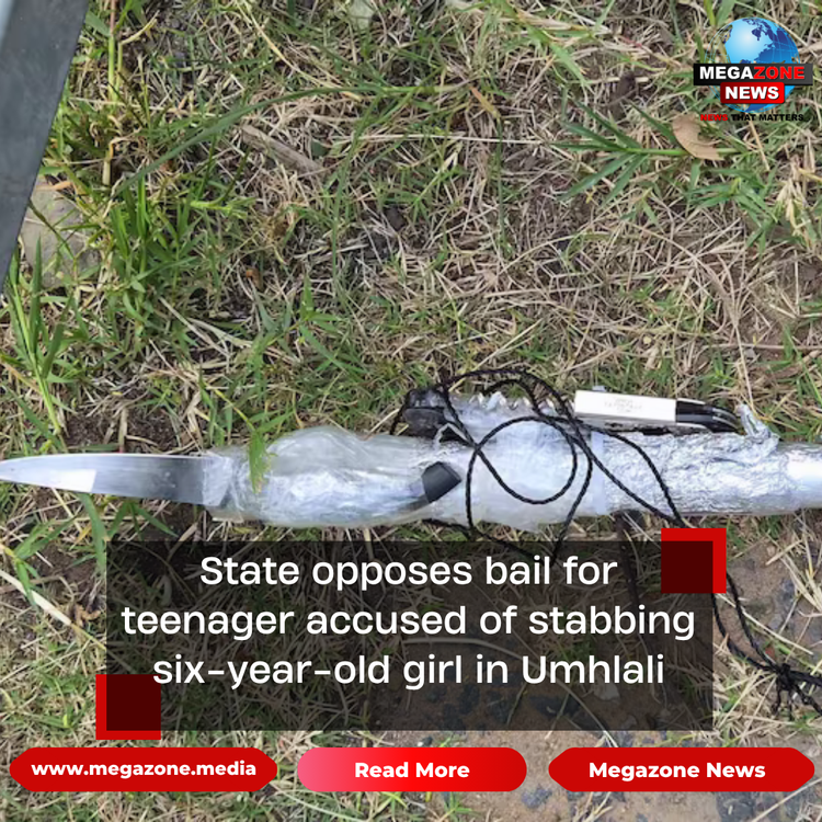 State opposes bail for teenager accused of stabbing six-year-old girl in Umhlali