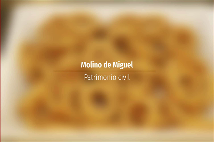 Molino de Miguel