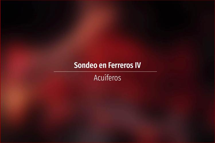 Sondeo en Ferreros IV