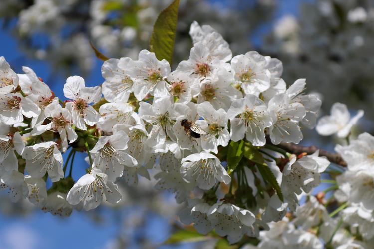 Op pad met DailyNonsense🥾🌸