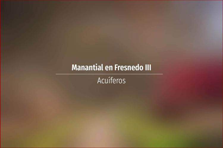 Manantial en Fresnedo III