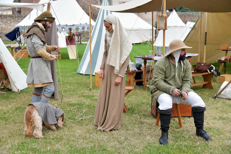 (BPA) Harcourt Medievales