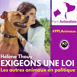 Hélène Thouy, les autres animaux en politique