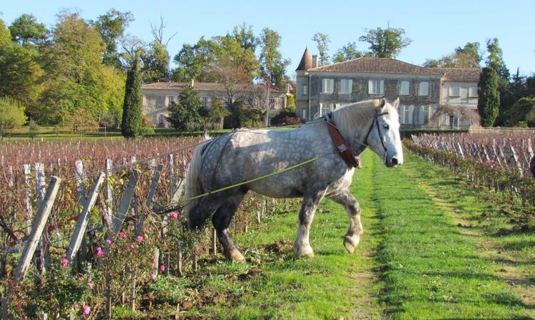 Château Troplong Mondot 2025