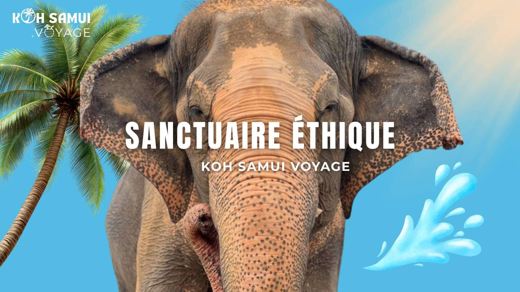 Rencontre éthique avec les Éléphants de Koh Samui