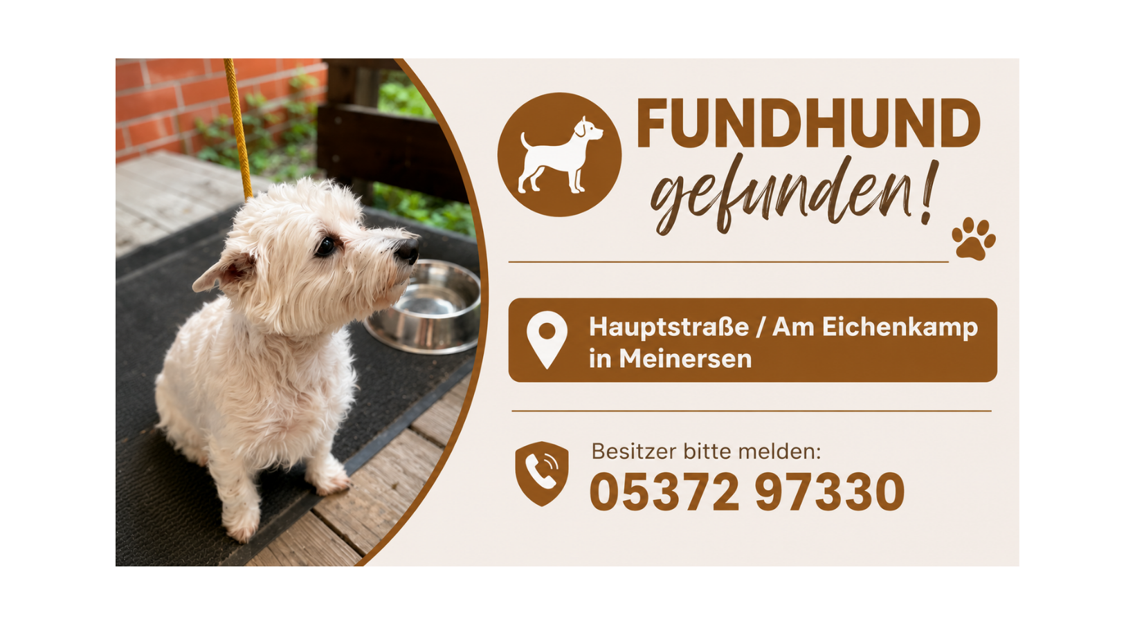 Update! Besitzerin hat sich gemeldet! Hund befindet sich wieder daheim. 