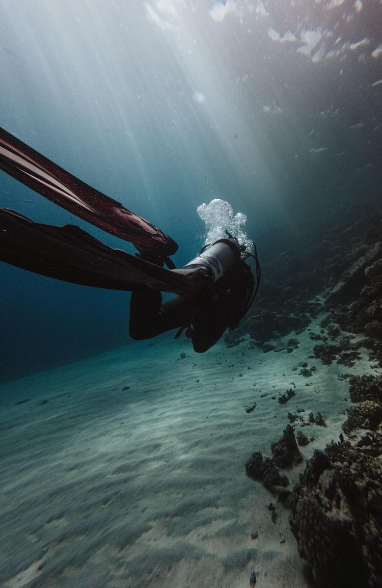 Les métiers de la mer | MOOC | France Université Numérique