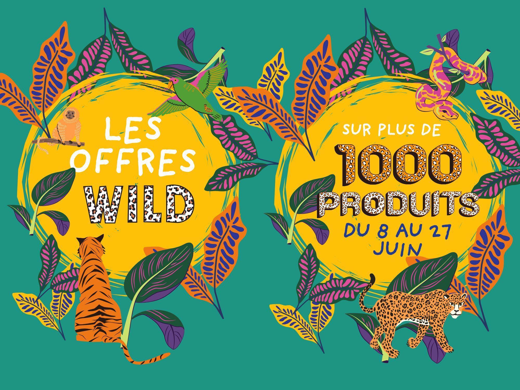 Les Offres Wild : notre anniversaire passe en mode Pura Vida !