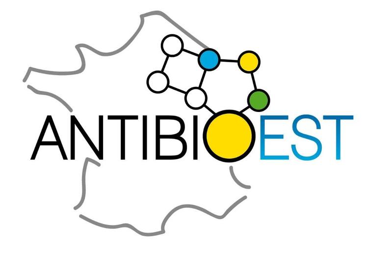 La newsletter mensuelle du Centre Régional d’Antibiothérapie du Grand Est