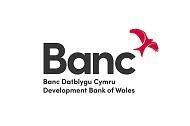 Development Bank of Wales- New Growth Scheme