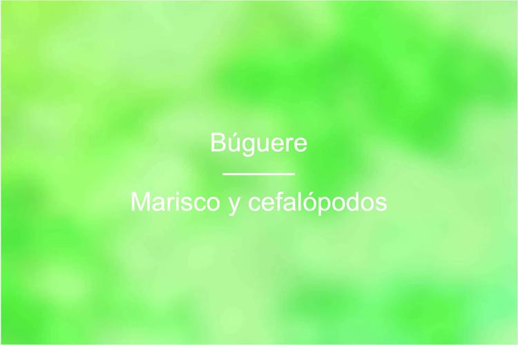Búguere