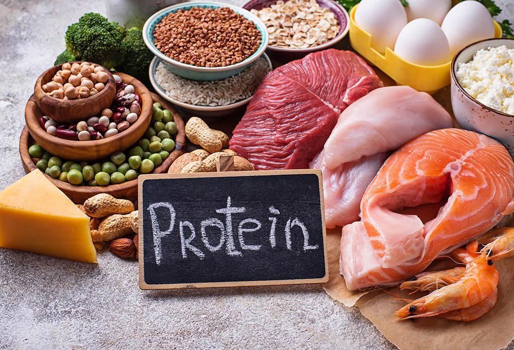 Tag 3 - Proteinpower