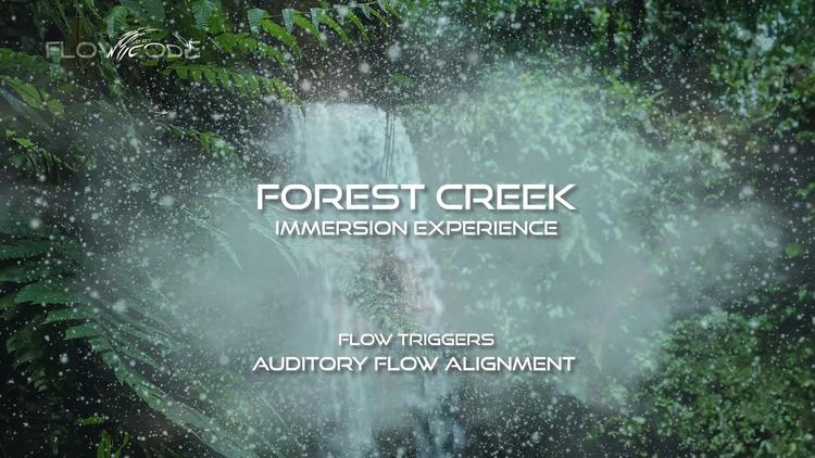 Forest creek - Sound immersion experience (Free)