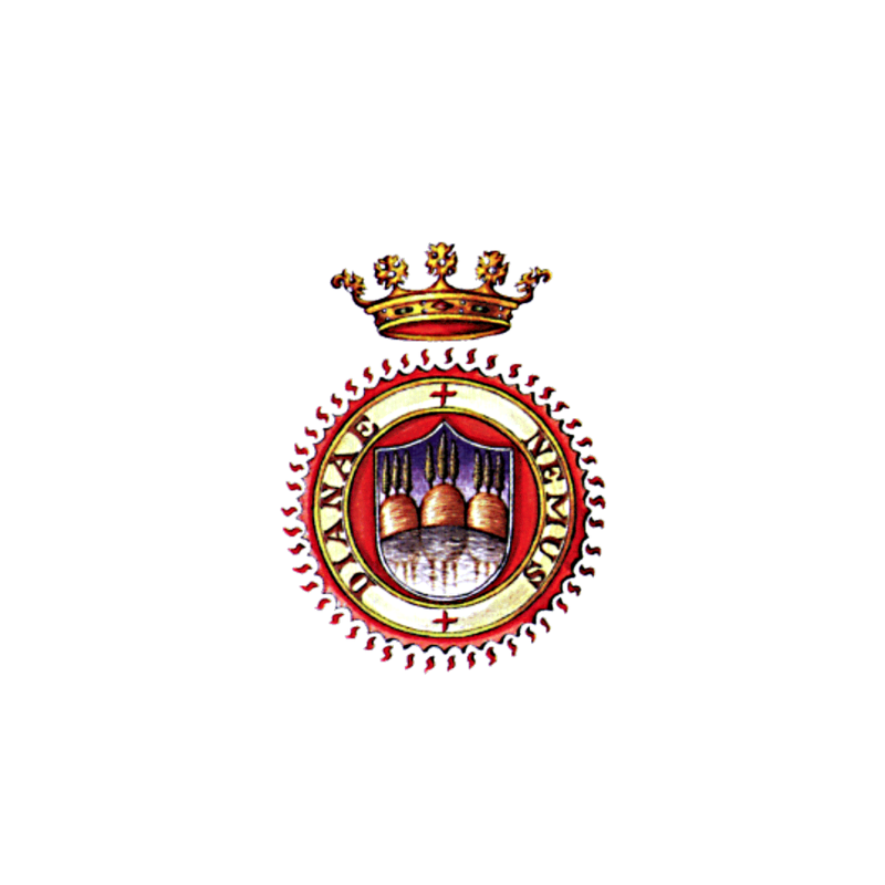 Nemi