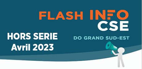 Flash Info CSE DOGSE - Avril 2023 - Hors Série