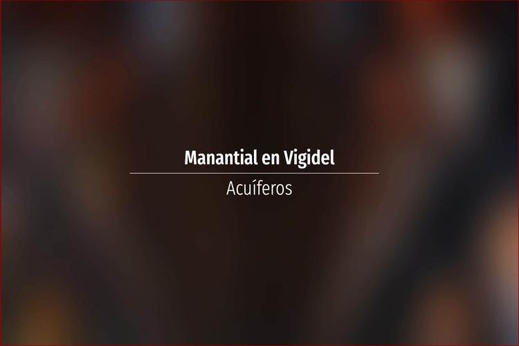 Manantial en Vigidel
