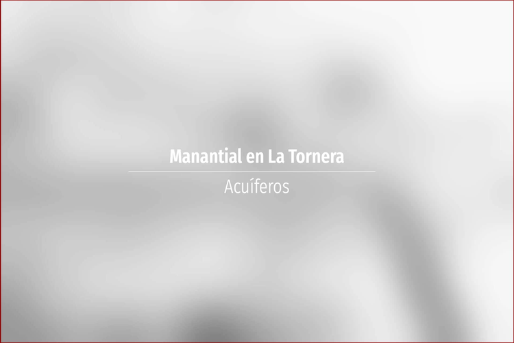 Manantial en La Tornera