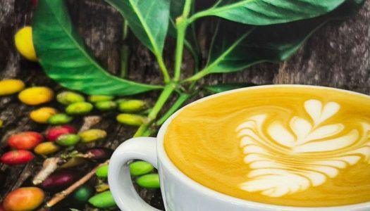 Visitez le nouveau café spécialisé de Cerro Barón