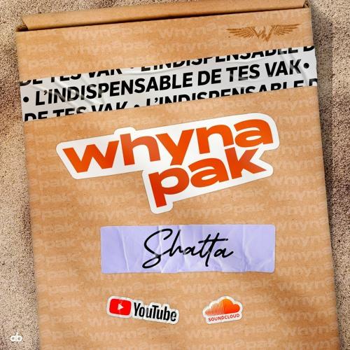 Dj Whyne - WhynaPak(Part 2/4) - Shatta