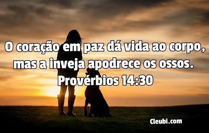 Não se deixe ser levado pela inveja!!