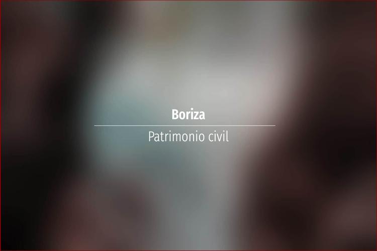 Boriza