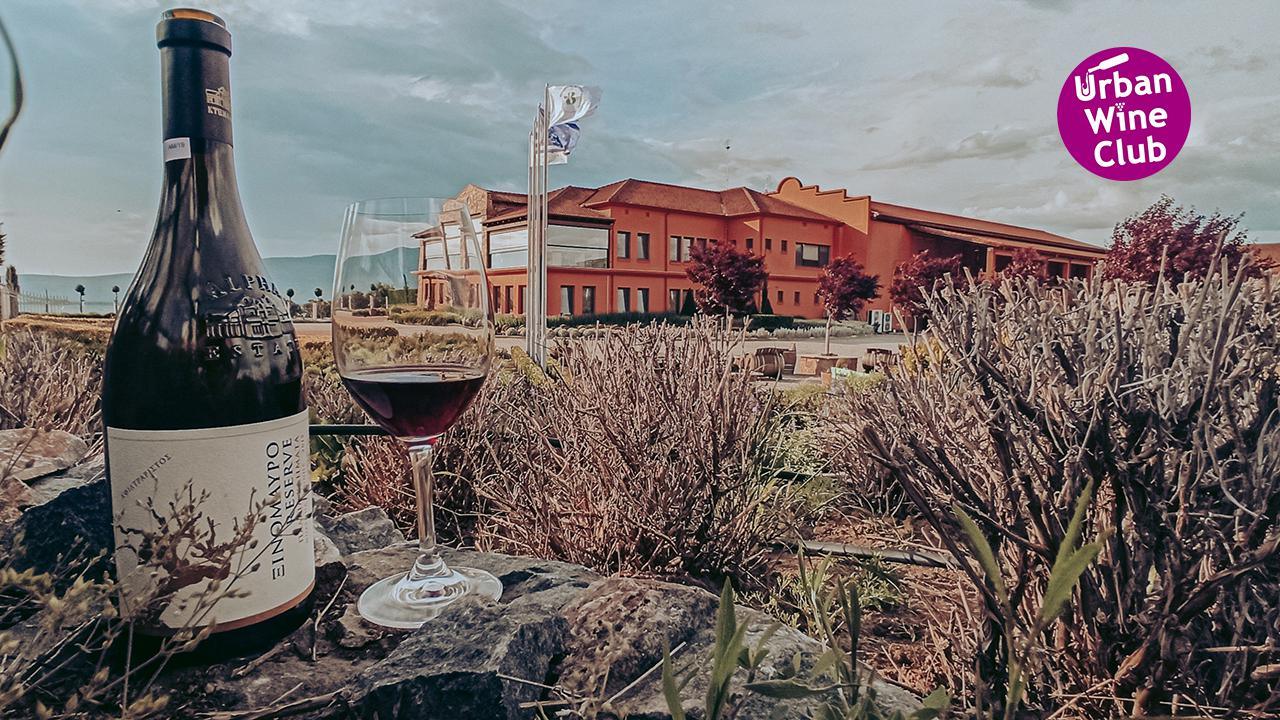 Precision Viticulture & the Cold Climate Revolution: The Alpha Estate Ecosystem in Amyndeon