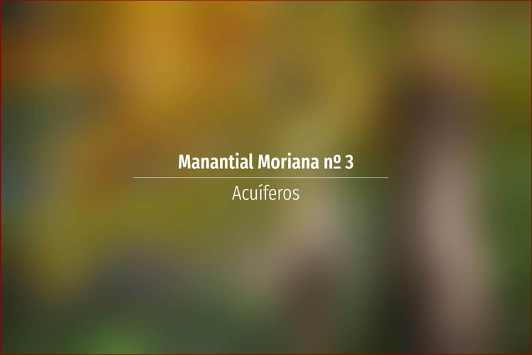 Manantial Moriana nº 3