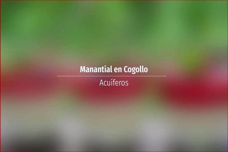 Manantial en Cogollo