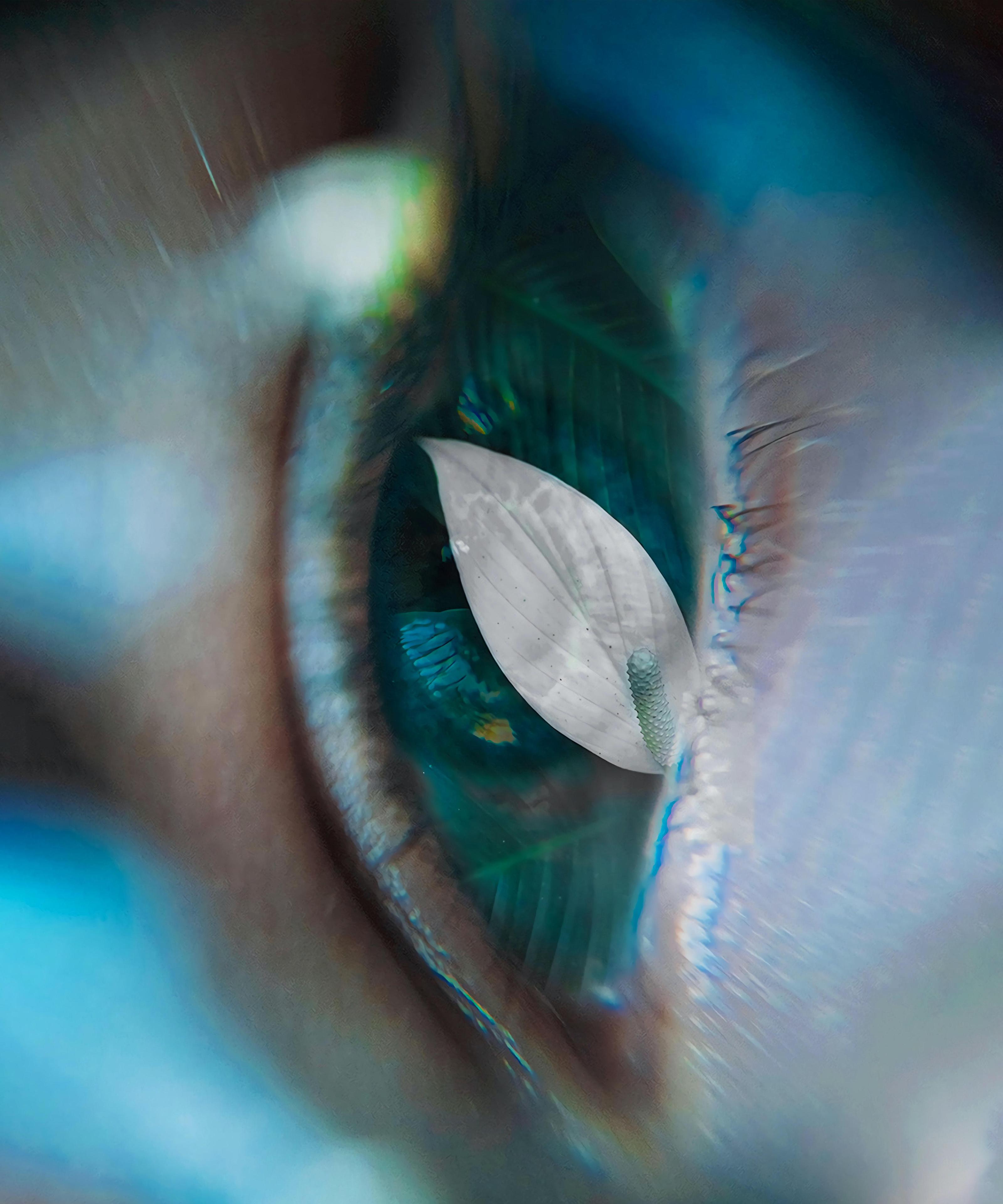 Träume sind nicht die Wirklichkeit?