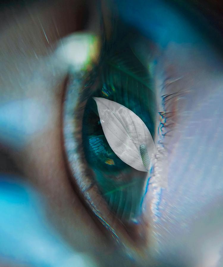 Träume sind nicht die Wirklichkeit?