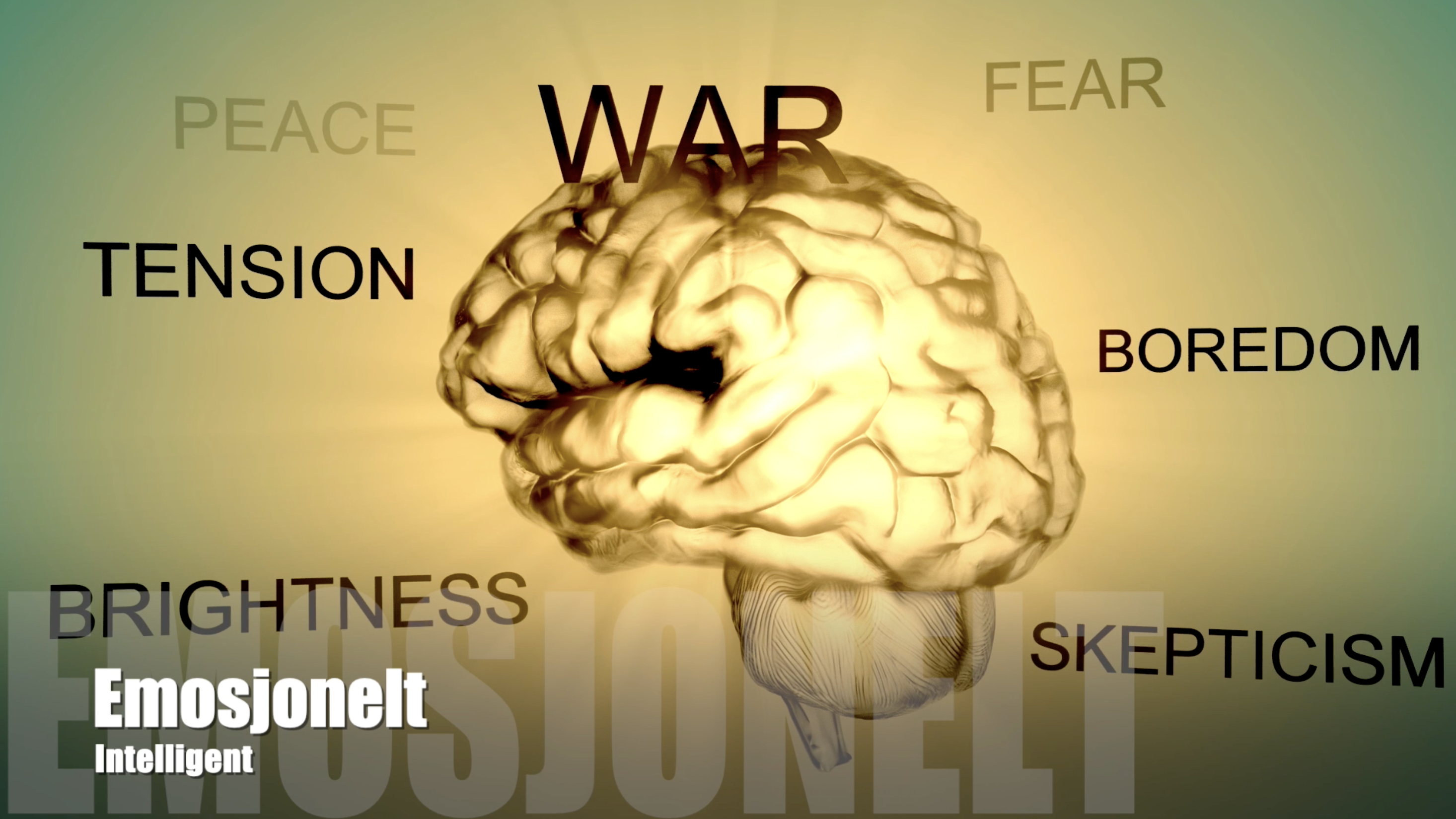 Å være emosjonelt intelligent