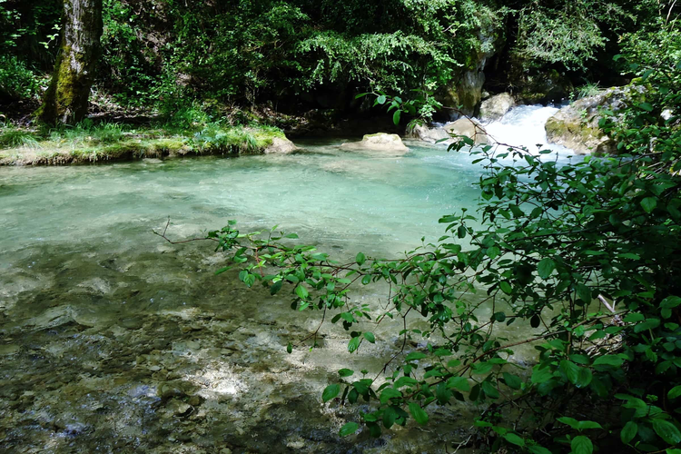 Río Pedrero