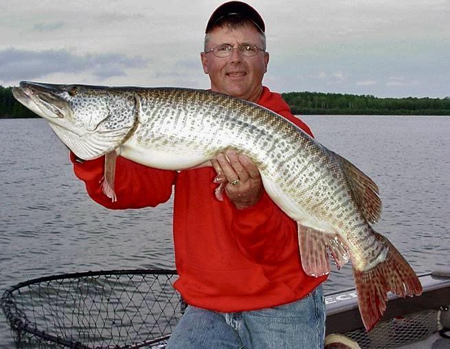  EVER CATCH A MUSKY WITHOUT MAKING A CAST?