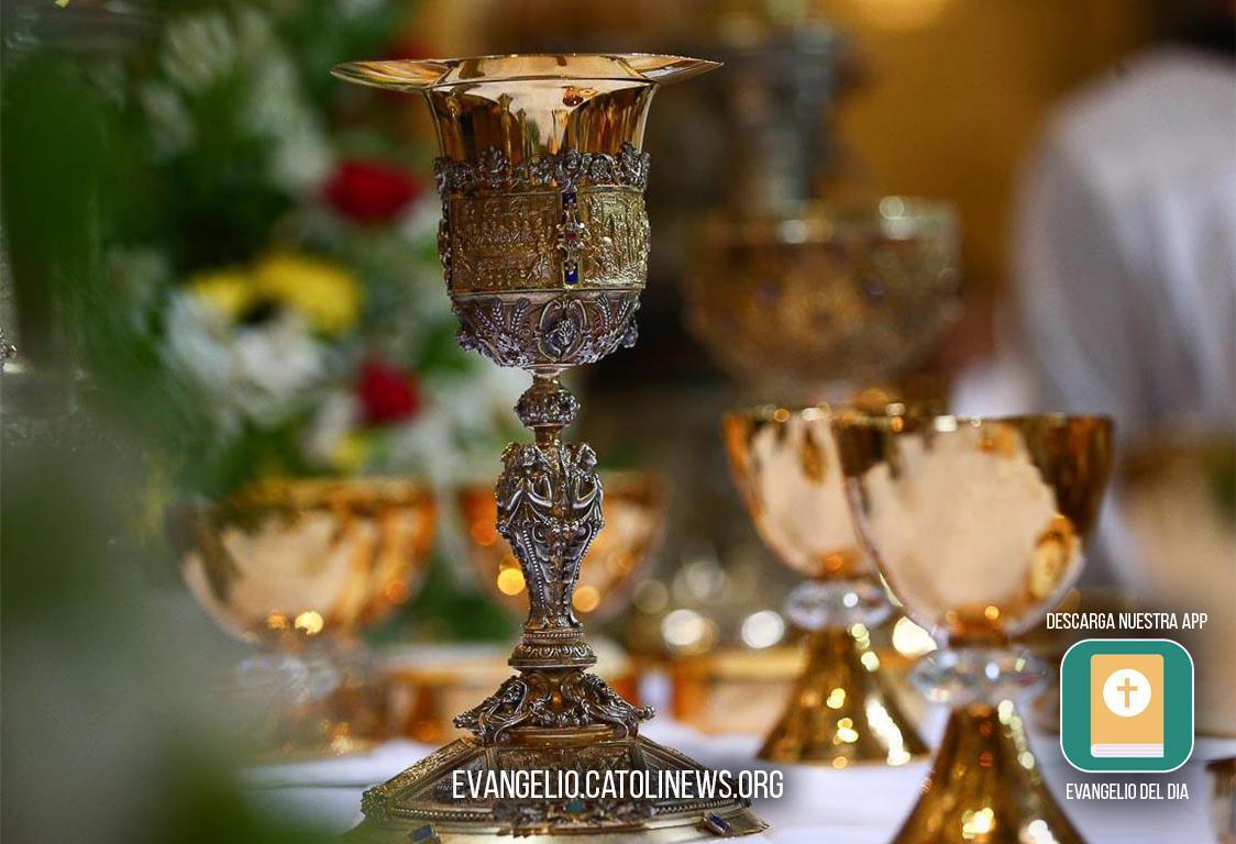 Daily Reflection on the Gospel of Saturday, May 16, 2026