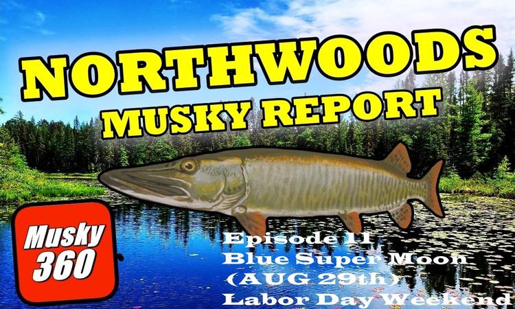 Northwoods Fishing Report : Blue Super Moon (Aug 29th)