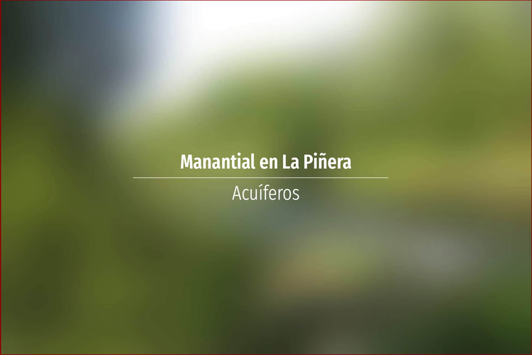Manantial en La Piñera