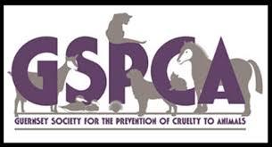 The Guernsey Society for the Prevention of Cruelty to Animals (GSPCA)