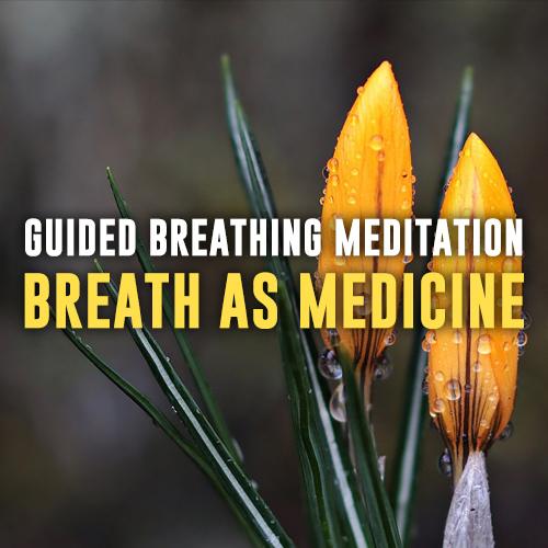 Healing Breathwork Meditation
