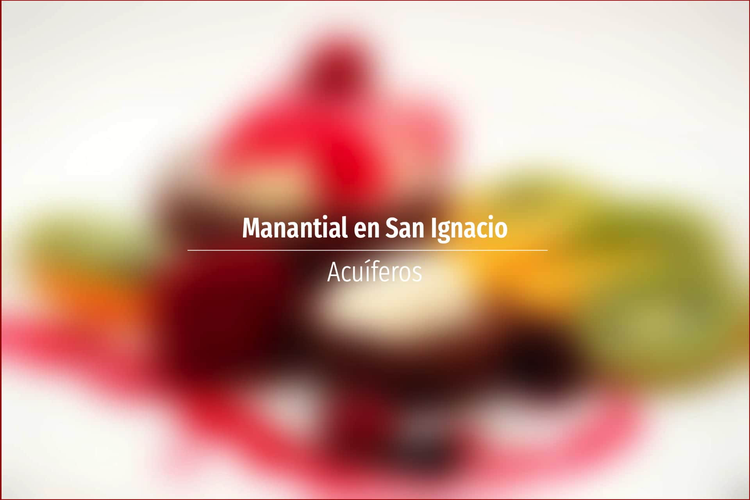 Manantial en San Ignacio