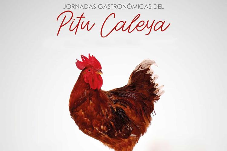 Jornadas Gastronómicas del Pitu Caleya