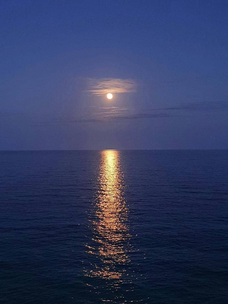 "Moonlight Reflects Over the Sea" Poem by Sarah Lou Cawdron
