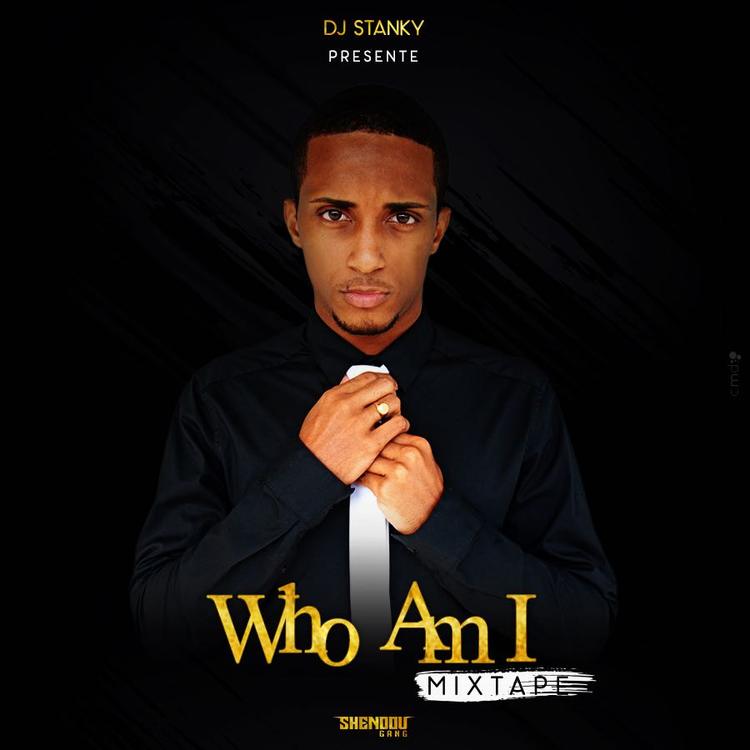 7. I AM STANKY - DJ STANKY (#WAIMIXTAPE)