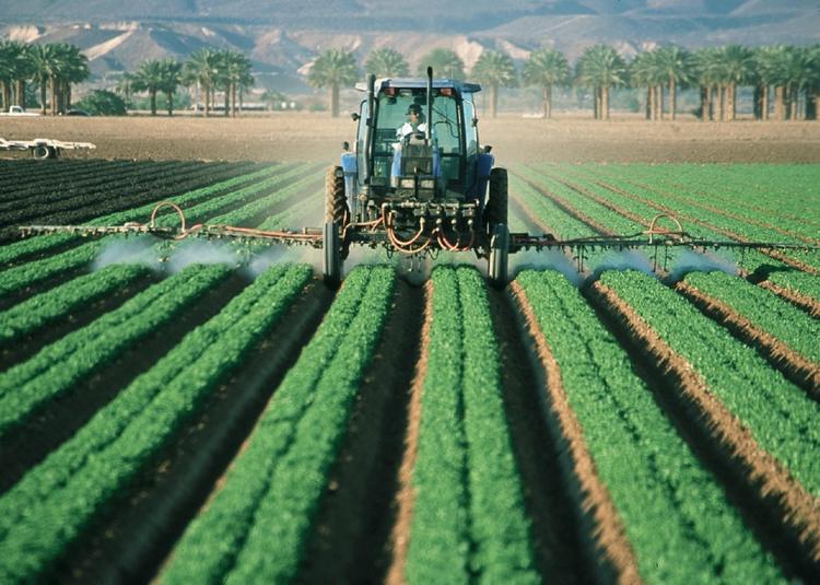 Trecento sì per La Palma: confermati lo sconto IRPF del 60% e 100 milioni per chi coltiva
